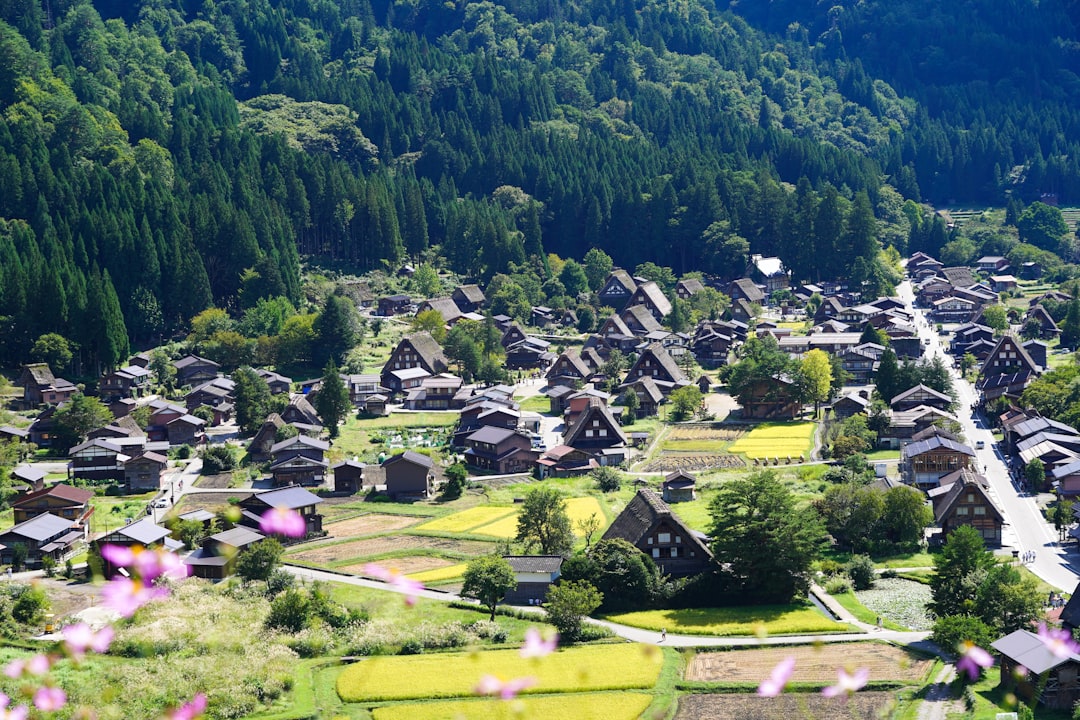 サブスクが田舎暮らしの「文化格差」を埋めてくれる