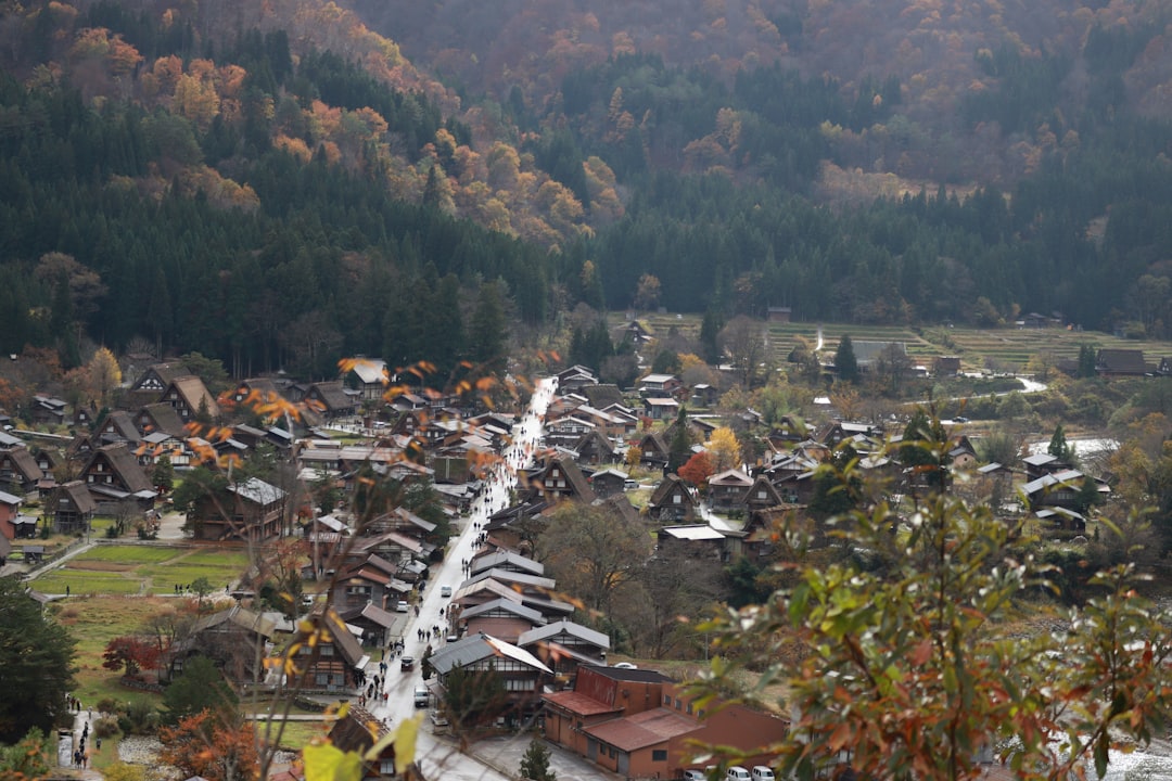 田舎暮らしとECの相性が良い3つの理由